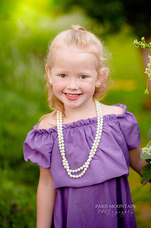Lavendar Field-8