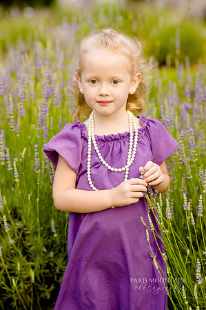 Lavendar Field-16