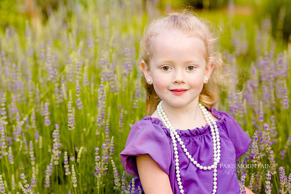 Lavendar Field-18