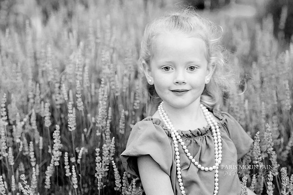 Lavendar Field-19