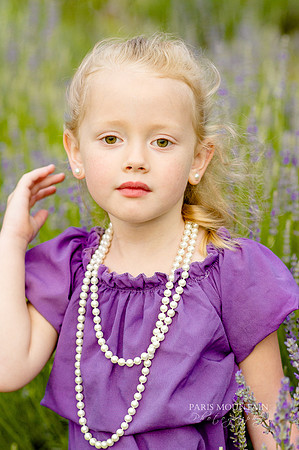 Lavendar Field-22