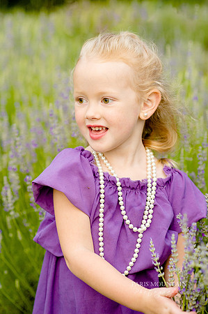 Lavendar Field-25