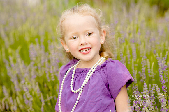 Lavendar Field-26