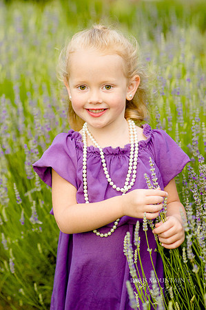 Lavendar Field-27