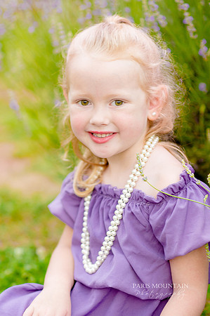 Lavendar Field-3