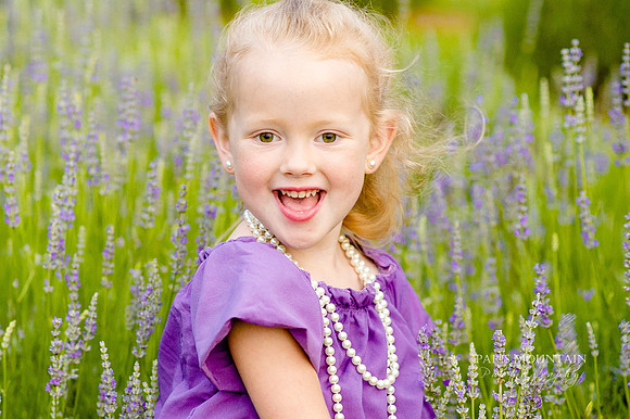 Lavendar Field-21