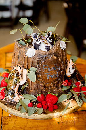 Spring Lake Wedding-69