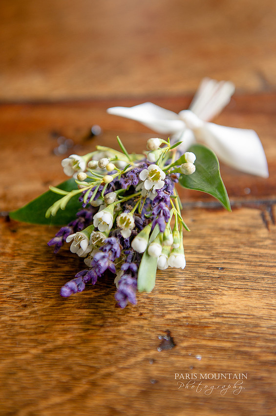 Brasstown Valley Wedding-3