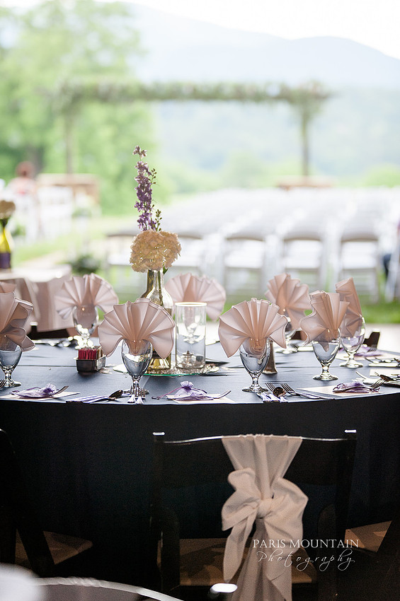 Brasstown Valley Wedding-69