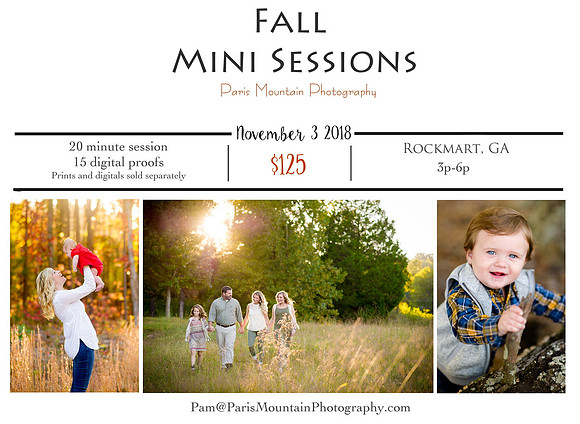 Fall mini 2  2018