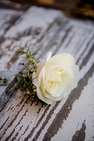 Muse Farm Wedding Photographer-13