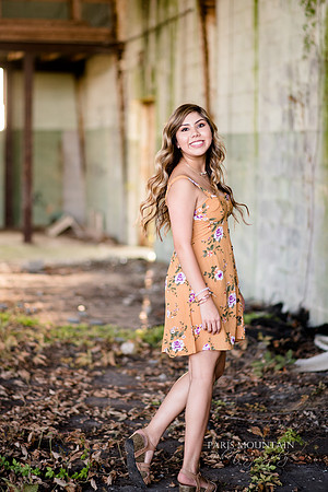 Paulding County Senior Portraits-11