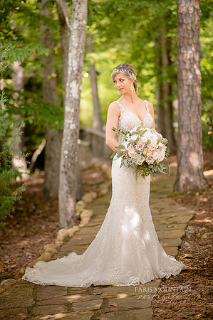 Indigo Falls Wedding photographer-29