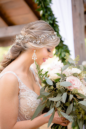 Indigo Falls Wedding photographer-28