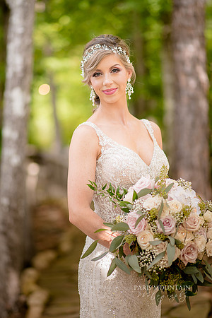 Indigo Falls Wedding photographer-30