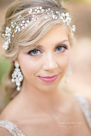 Indigo Falls Wedding photographer-33
