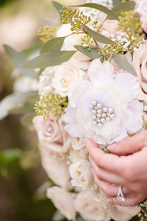Indigo Falls Wedding photographer-35