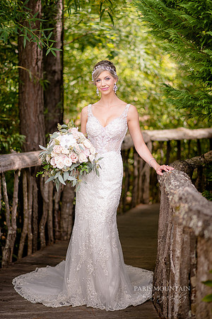 Indigo Falls Wedding photographer-36