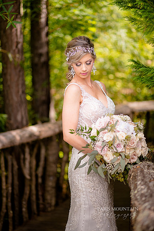 Indigo Falls Wedding photographer-37