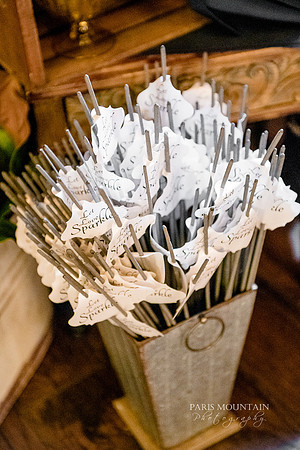 Indigo Falls Wedding photographer-110