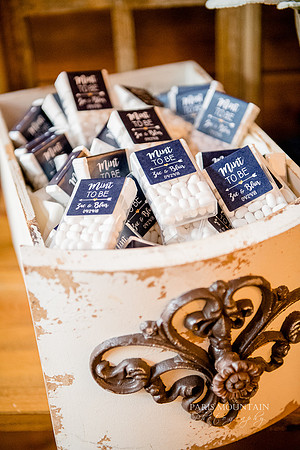 Indigo Falls Wedding photographer-113