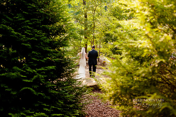 Indigo Falls Wedding photographer-133