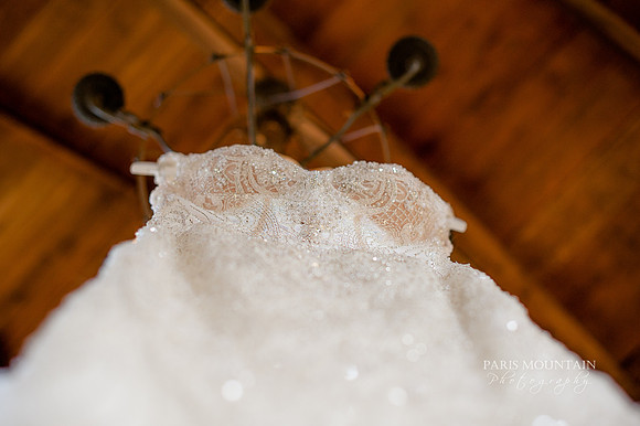Indigo Falls Wedding photographer-5