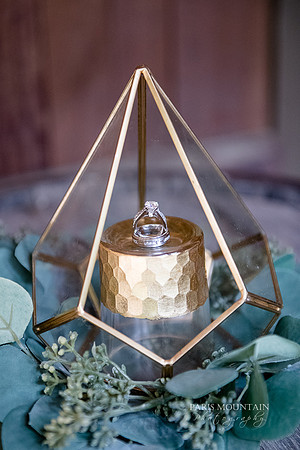 Indigo Falls Wedding photographer-7