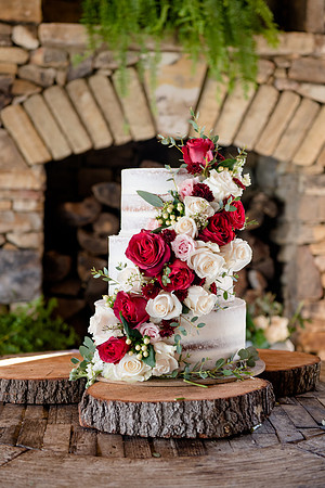Burk Farm Rome Wedding-60