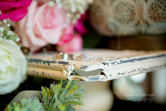 Indigo Falls Wedding-35