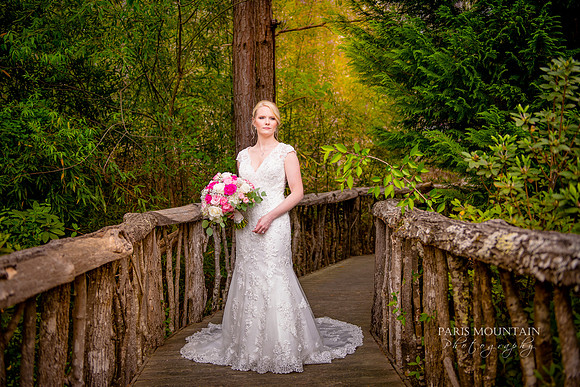 Indigo Falls Wedding-52