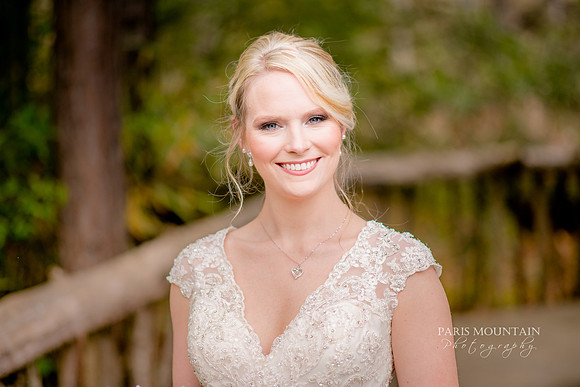 Indigo Falls Wedding-53