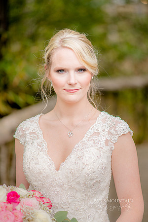 Indigo Falls Wedding-54