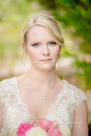 Indigo Falls Wedding-55