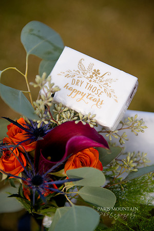 Taylor Estate Country Wedding-77