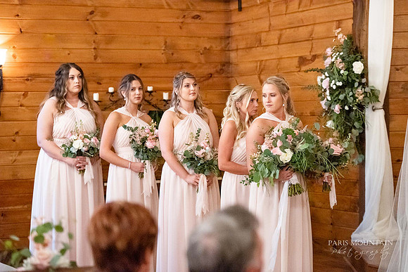 Indigo Falls Wedding-48