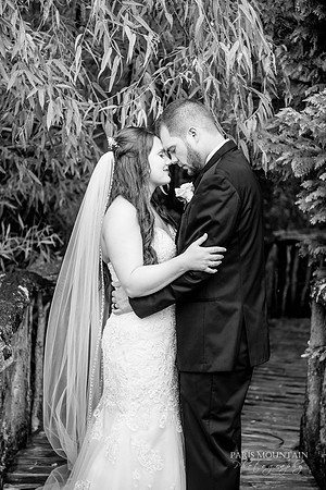 Indigo Falls Wedding-57
