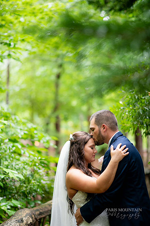Indigo Falls Wedding-59