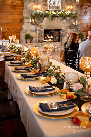 Indigo Falls Wedding-70