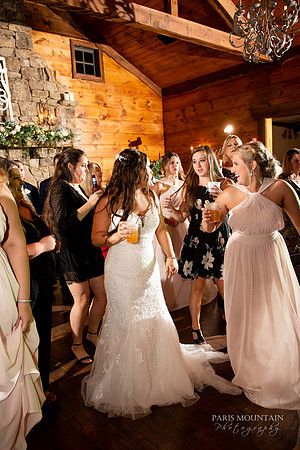 Indigo Falls Wedding-88
