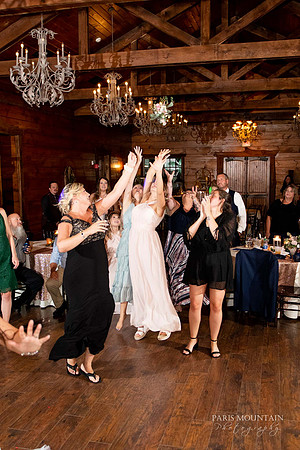 Indigo Falls Wedding-93