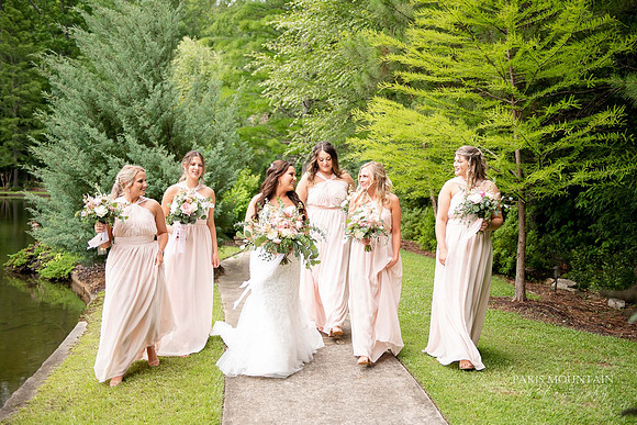 Indigo Falls Wedding-26