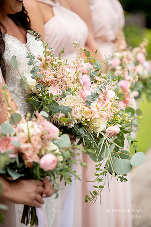 Indigo Falls Wedding-27