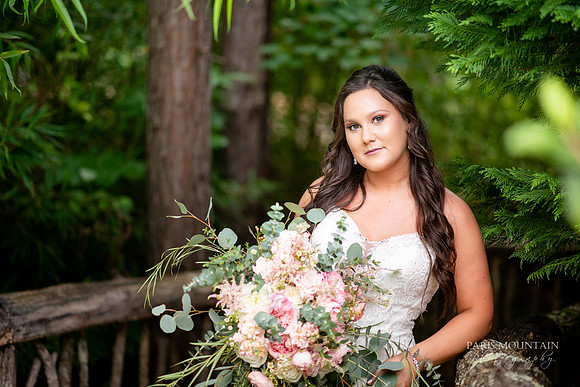 Indigo Falls Wedding-30