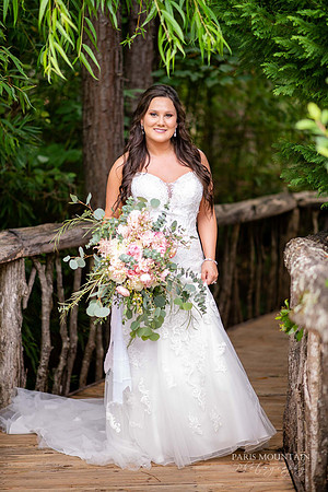 Indigo Falls Wedding-31