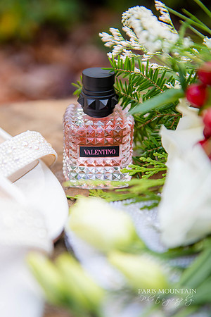 Indigo Falls Wedding Photographer-2