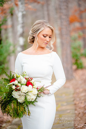 Indigo Falls Wedding Photographer-9