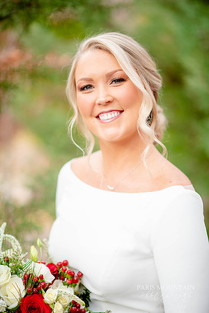 Indigo Falls Wedding Photographer-10