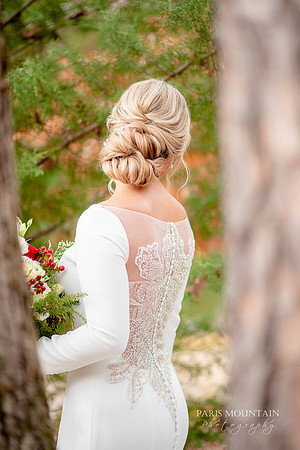 Indigo Falls Wedding Photographer-13