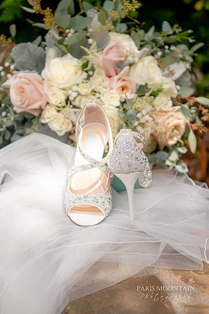 Indigo-Falls-Wedding-Photographer-1